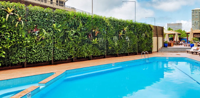 Greenwall Solutions